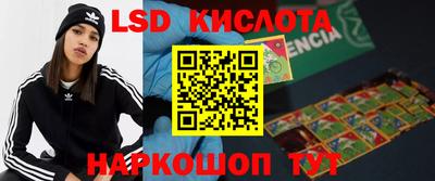 винт Ефремов