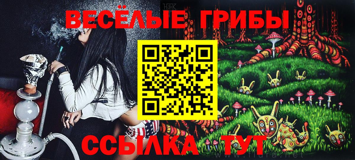 Кувандык  Галлюциногенные грибы GOLDEN TEACHER  Галлюциногенные грибы Psilocybine cubensis  Вход с VPN 